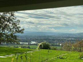 Panorama-Paradies im Rheintal